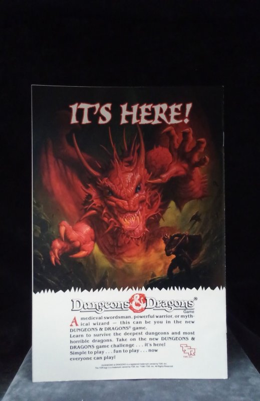 Ghost Rider #13 (1991)