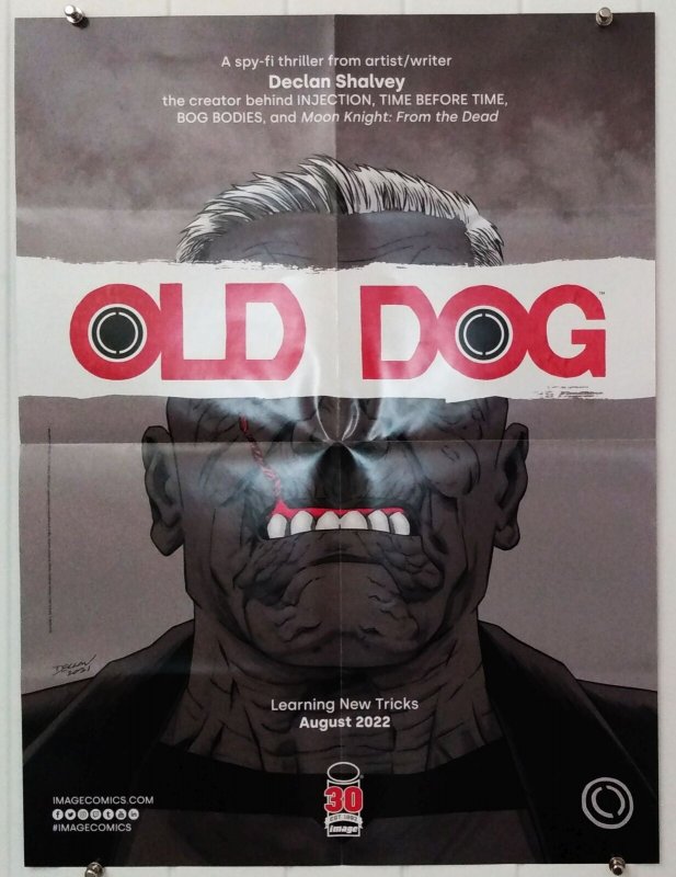 20th Century Men Old Dog Reversible Folded Promo Poster 18x24 New [FP400]