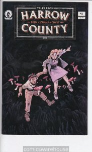 TALES FROM HARROW COUNTY FAIR FOLK (2021 DARK HORSE) #1 CVR A SCHNALL NM G51597