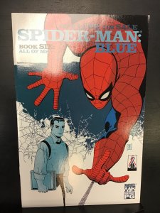 Spider-Man: Blue #6 (2003)nm