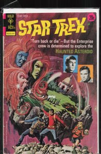 Star Trek #19 (1973) Star Trek