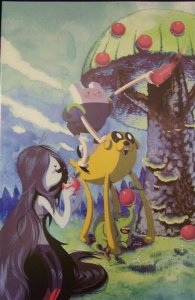 ADVENTURE TIME #2 COVER C & D VIRGIN VARIANTS SET NM.