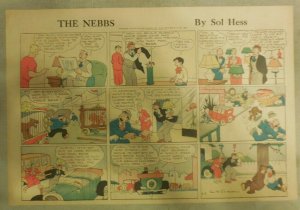 (20) The Nebbs Sunday Pages by Sol Hess from 1934 Size: 11 x 15 inches