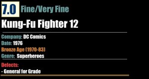 Kung-Fu Fighter 12 (1976) FN/VF 7.0 Bronze Age DC Comics