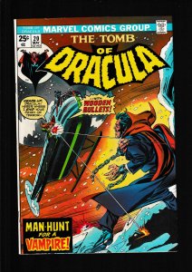 Tomb of Dracula #20 (1974) VFN / MARV WOLFMAN & GENE COLAN