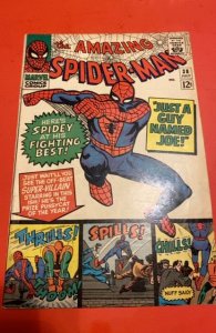 The Amazing Spider-Man #38 (1966) A guy name joe