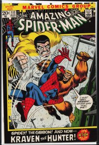 The Amazing Spider-Man #111 (1972) Spider-Man