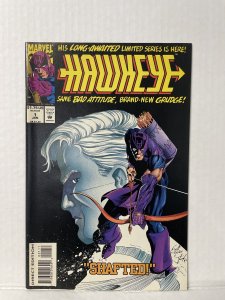 Hawkeye #1 (1994)
