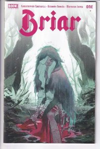 BRIAR (2022 BOOM!) #1 CVR A GARCIA