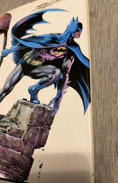 Batman: Illustrated by Neal Adams #3 (2005)  excellent shape