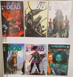 The WALKING DEAD Deluxe #19 1st Michonne in Color Lot of 6 Variants Image Comics