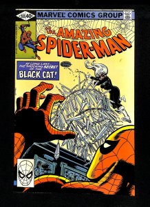 Amazing Spider-Man #205 Black Cat!