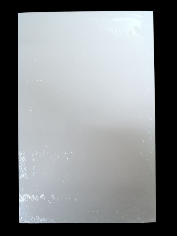 Arkham Asylum Riddler Black White Green Pinup Print Sealed NM