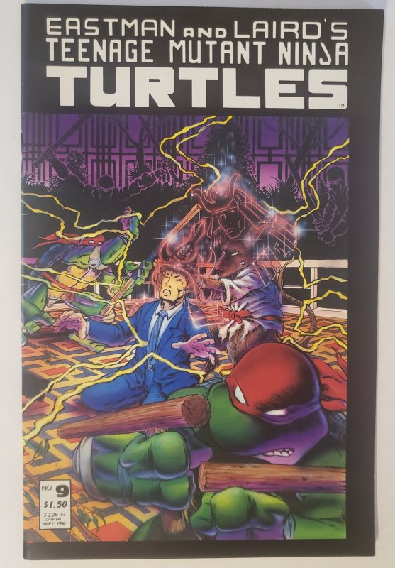 Teenage Mutant Ninja Turtles 9