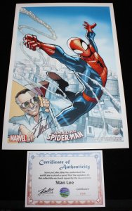 Amazing Spider-Man Print Signed By Stan Lee - COA #6149 Included