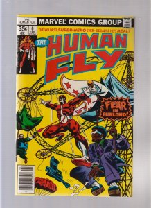 Human Fly #6 - Fear In Funland! (9.0) 1978