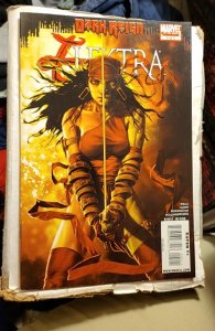 Dark Reign: Elektra #5 (2009) b5