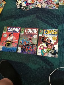 Conan the Barbarian #206-208 (1988) High-Grade NM- Heku Trilogy!  3 book set NM-