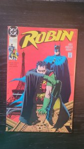 Robin #1 (1991)