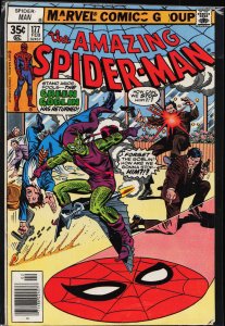 The Amazing Spider-Man #177 (1978) Spider-Man