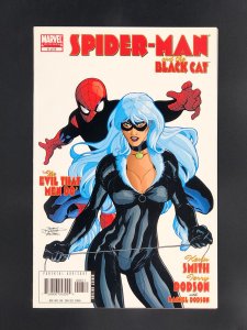 Spider-Man/Black Cat: The Evil that Men Do #6 (2006)