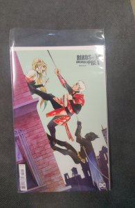 Birds of Prey Uncovered Hill Cover (2024)