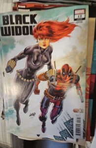 Black Widow #13 Liefeld Cover (2022)