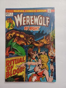 Werewolf by Night #7 - Mike Ploog - 1973 - VG/FN