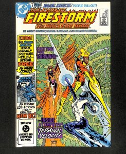 Fury of Firestorm (1982) #24