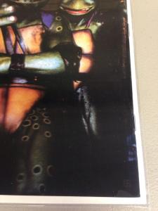 Teenage Mutant Ninja Turtles Magazine 3D signed by Eastman