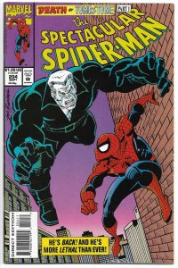 The Spectacular Spider-Man #204 (1993) VF-NM