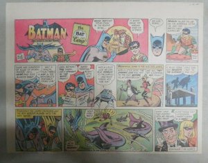 Batman Sunday by Bob Kane from 6/12/1966 Size: 11 x 15 inches  