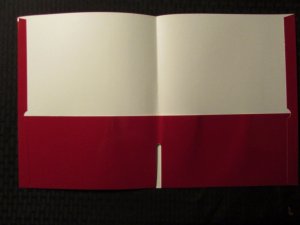 1998 MARVEL Characters Spider-Man Tribal 2 Pocket Folder NM 9.4