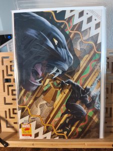 Black Panther #25 Coello Cover