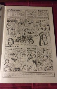 Code Name Ninja (1987)