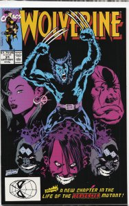 Wolverine #31 (1990) Wolverine