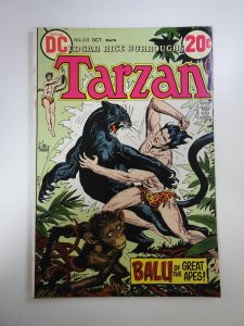 Tarzan #213 (1972)