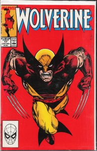 Wolverine #17 (1989) Wolverine