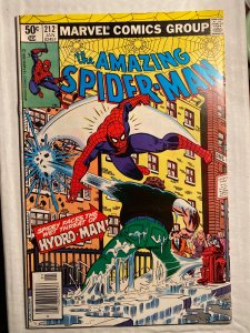 The Amazing Spider-Man #212 (1981)
