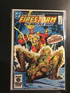 The Fury of Firestorm #19 (1984)