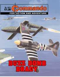 Buzz Bomb Brady