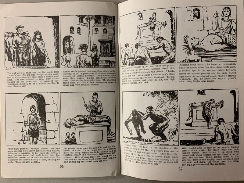 Illustrated Tarzan Books #2 graphic novel 6.0 (1968)