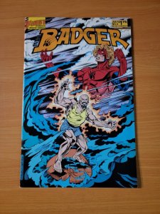 The Badger #6 ~ NEAR MINT NM ~ 1985 First Comics