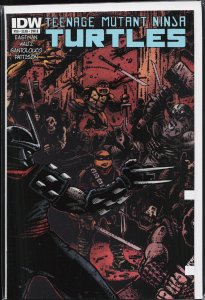 Teenage Mutant Ninja Turtles #28 Cover B (2013)