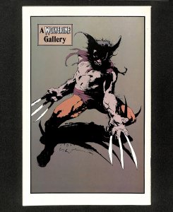 Wolverine (1988) #10 Sabertooth Appearance and battle! 1989