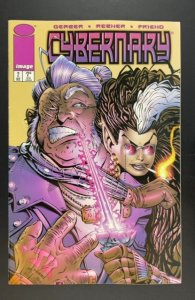 Cybernary #2 (1995)