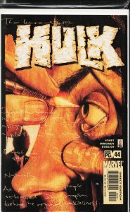 Incredible Hulk #48 (2003) Hulk