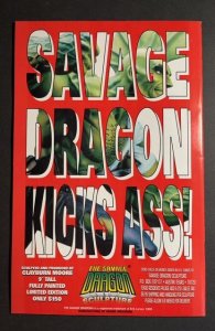 Dragon: Blood and Guts #1 (1995)