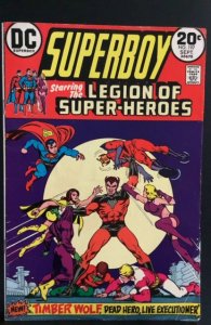 Superboy #197 (1973)