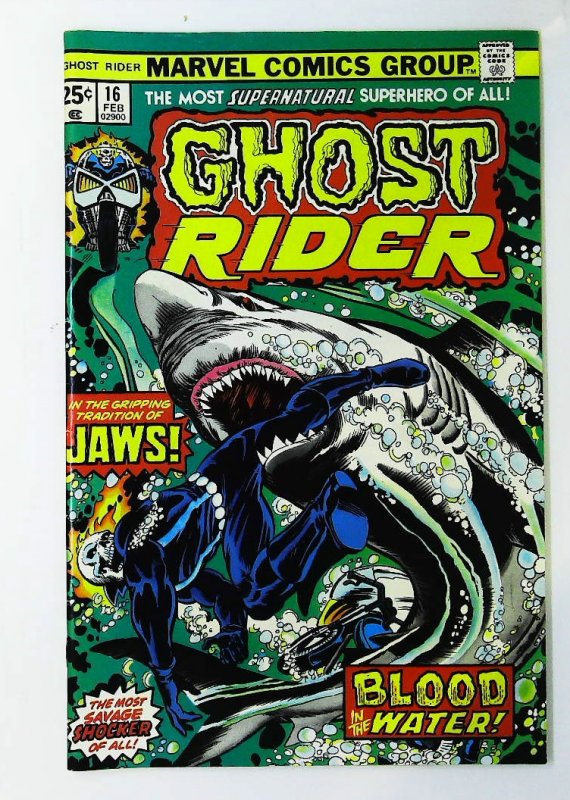 Ghost Rider (1973 series) #16, NM- (Actual scan)